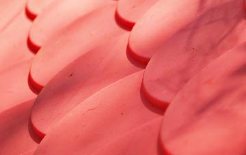 Tre Hill plastic roof costs